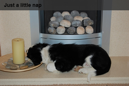 After a hard days play